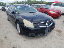 2007 Nissan Maxima SE for sale in Houston, TX