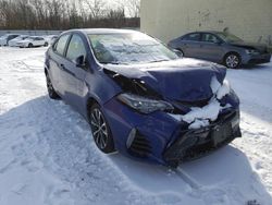 Vehiculos salvage en venta de Copart Miami, FL: 2017 Toyota Corolla L