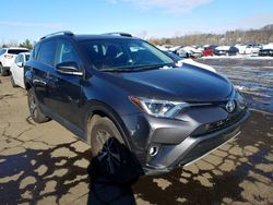 Salvage cars for sale from Copart Rancho Cucamonga, CA: 2016 Toyota Rav4 XLE