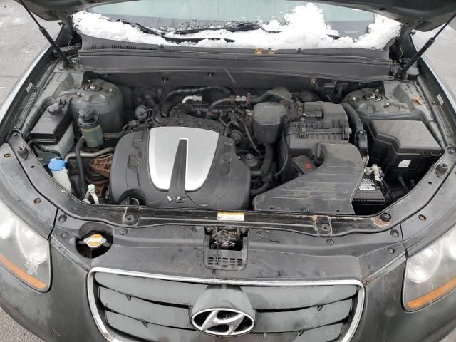 2010 Hyundai Santa FE SE