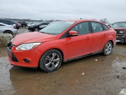 Ford Focus SE salvage cars for sale: 2014 Ford Focus SE