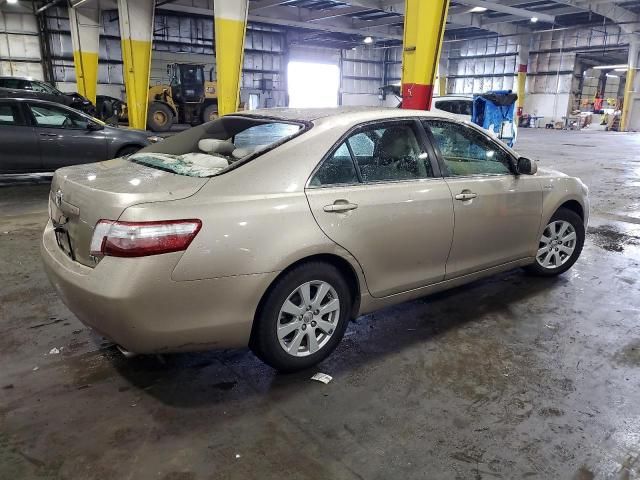 2007 Toyota Camry Hybrid