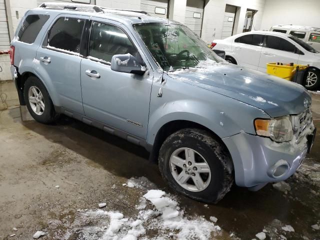 2008 Ford Escape HEV