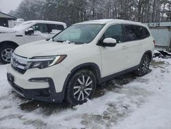 Honda Pilot exl Vehiculos salvage en venta: 2019 Honda Pilot EXL