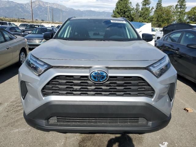 2023 Toyota Rav4 LE