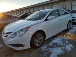 2014 Hyundai Sonata GLS for sale in Louisville, KY