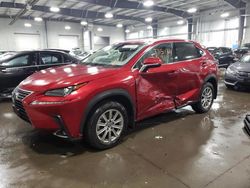 2020 Lexus NX 300 en venta en Ham Lake, MN