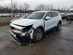 Hyundai Vehiculos salvage en venta: 2021 Hyundai Santa FE SE