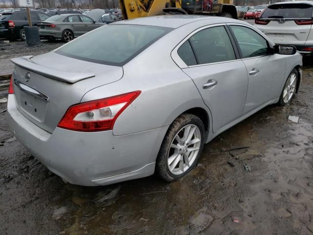 2009 Nissan Maxima S