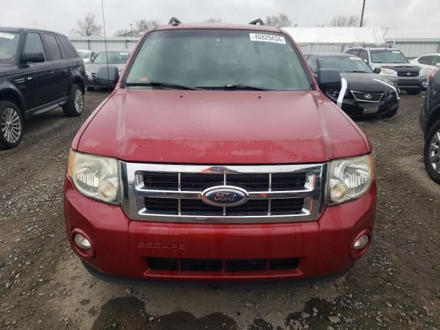 2009 Ford Escape XLT