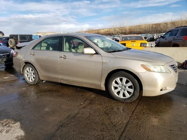 2008 Toyota Camry Hybrid