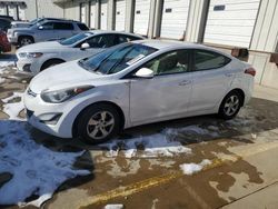 2015 Hyundai Elantra SE for sale in Louisville, KY