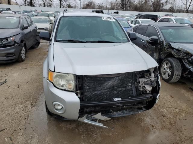 2008 Ford Escape XLT