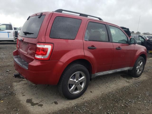 2009 Ford Escape XLT