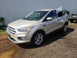 Ford Vehiculos salvage en venta: 2017 Ford Escape SE