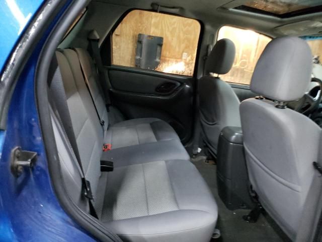 2007 Ford Escape XLT