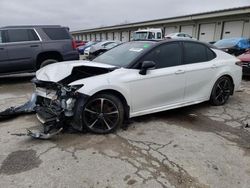 2019 Toyota Camry XSE en venta en Louisville, KY