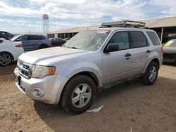 2011 Ford Escape XLT en venta en Phoenix, AZ