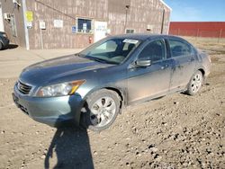 Honda salvage cars for sale: 2008 Honda Accord EXL