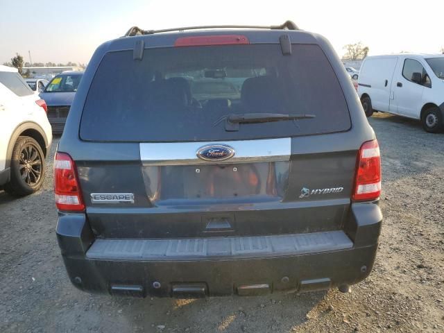 2010 Ford Escape Hybrid