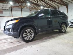 KIA salvage cars for sale: 2011 KIA Sorento EX