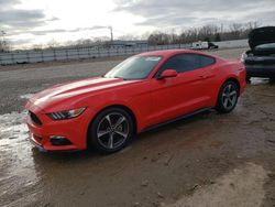 2016 Ford Mustang for sale in Louisville, KY