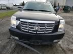 2007 Cadillac Escalade Luxury