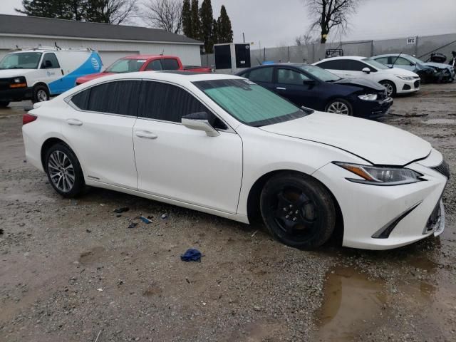 2020 Lexus ES 300H