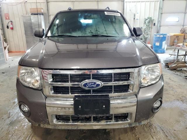 2010 Ford Escape Limited