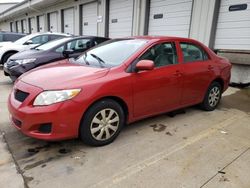 2009 Toyota Corolla Base for sale in Lawrenceburg, KY