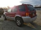 2007 Ford Escape XLT