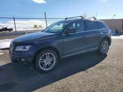 2016 Audi Q5 Premium for sale in Albuquerque, NM