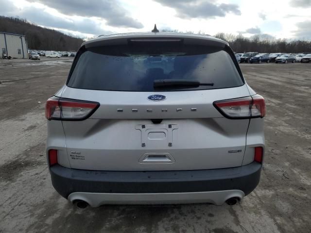 2020 Ford Escape SE Sport