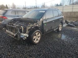 Subaru salvage cars for sale: 2014 Subaru Forester 2.5I Limited