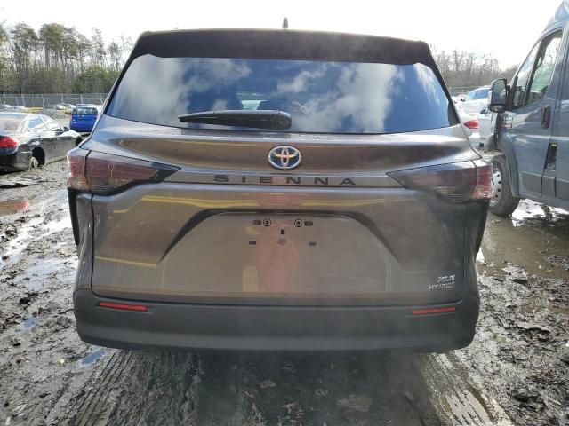 2024 Toyota Sienna XLE