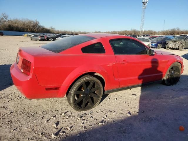 2005 Ford Mustang