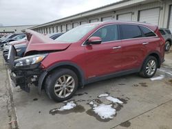 2016 KIA Sorento LX en venta en Lawrenceburg, KY