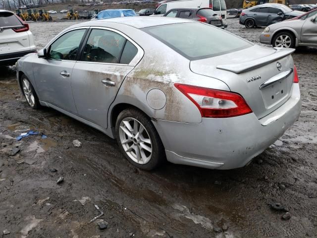 2009 Nissan Maxima S