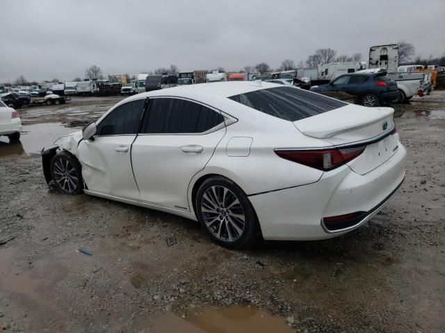 2020 Lexus ES 300H