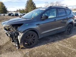 Salvage cars for sale from Copart Finksburg, MD: 2019 Ford Escape SE