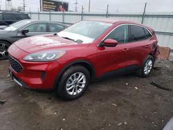 2021 Ford Escape SE for sale in Chicago Heights, IL