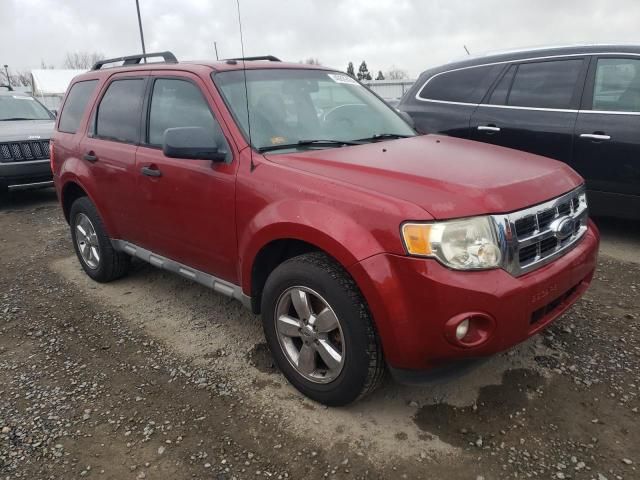 2009 Ford Escape XLT