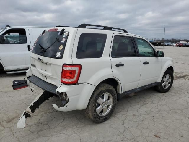 2011 Ford Escape XLT