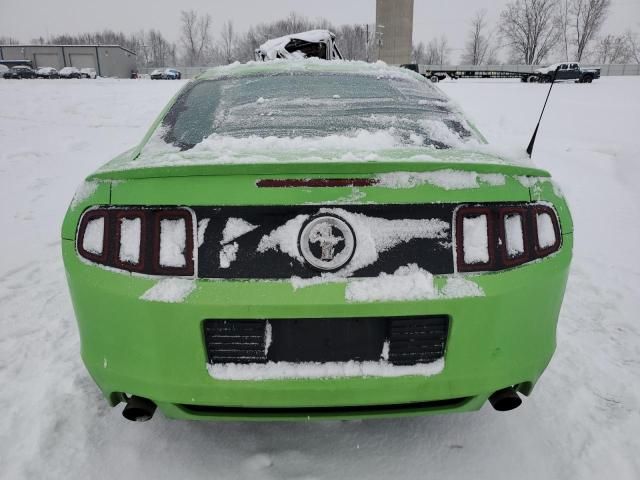 2013 Ford Mustang