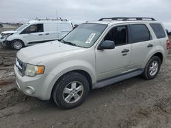 2009 Ford Escape XLT for sale in Earlington, KY