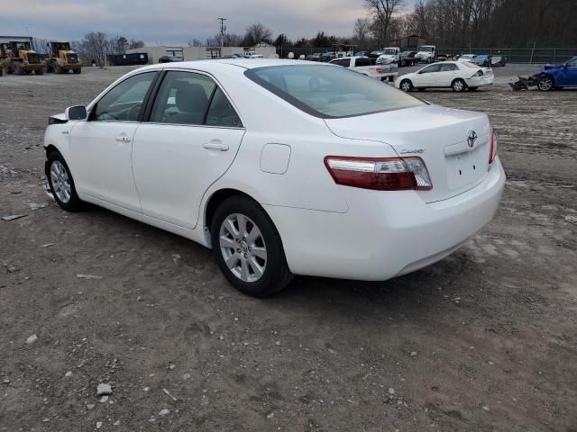 2009 Toyota Camry Hybrid