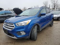 2018 Ford Escape SE for sale in Bridgeton, MO