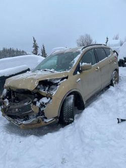 2014 Ford Escape SE en venta en Rocky View County, AB