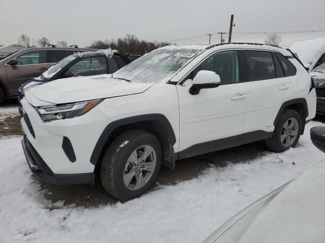 2023 Toyota Rav4 XLE