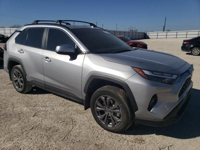 2023 Toyota Rav4 XLE Premium